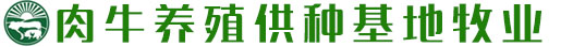 zbo智博1919